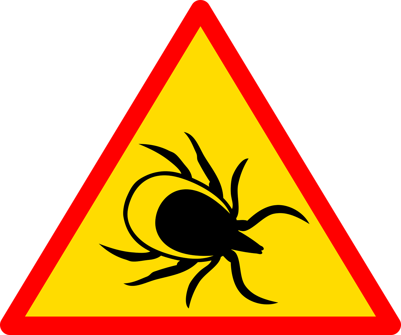 Rischio biologico: zoonosi trasmesse da zecche