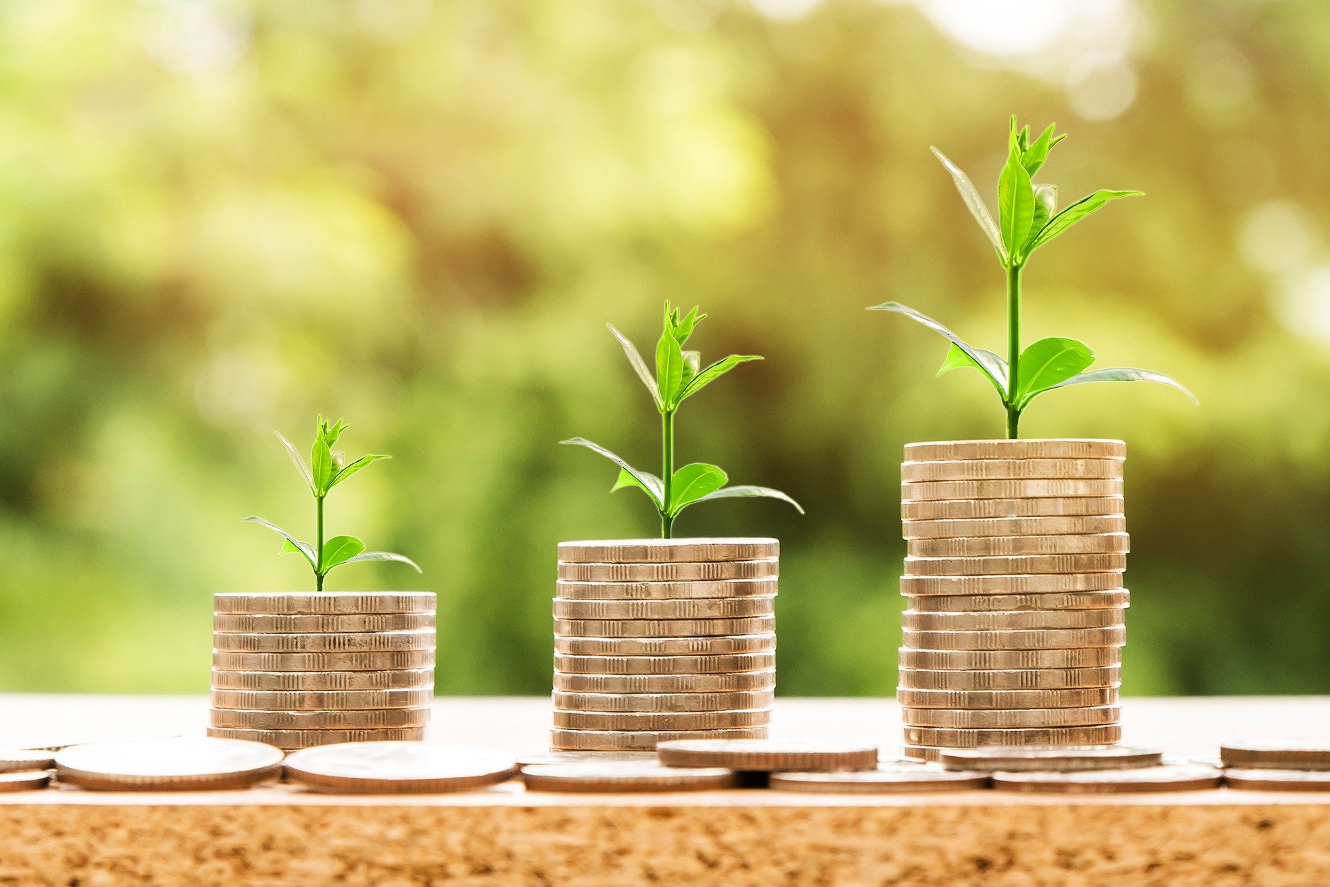 Bando CONAI per l’ecodesign degli imballaggi e nuovo EcoD Tool