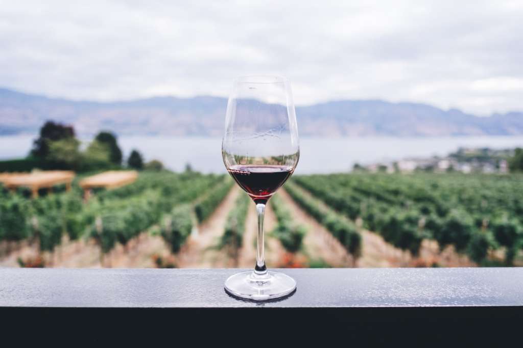bando promozione vino