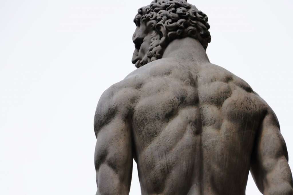 muscoli