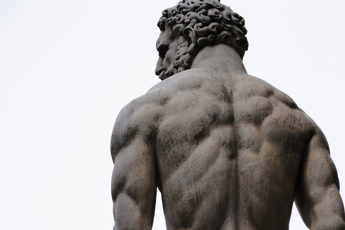muscoli