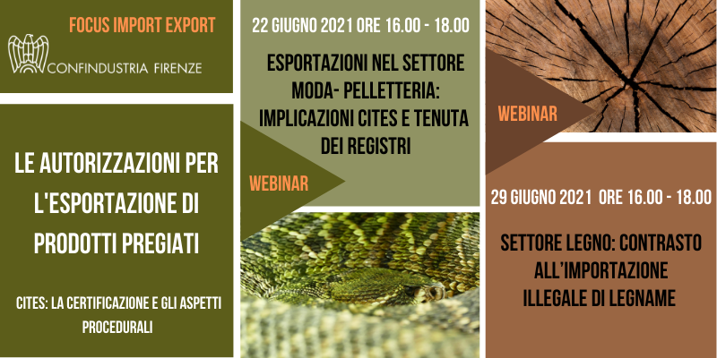 Esportazioni nel settore moda: implicazioni CITES e tenuta dei registri