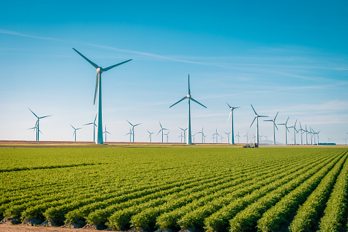 Fonti rinnovabili: in vigore il Decreto RED II sulla promozione dell’uso dell’energia da fonti rinnovabili