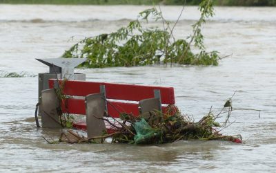 AGGIORNAMENTO Polizze catastrofali: FAQ MIMIT