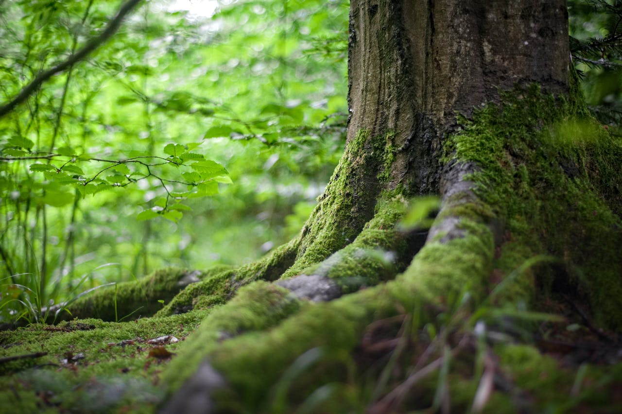 Ue rilancia sui crediti in natura