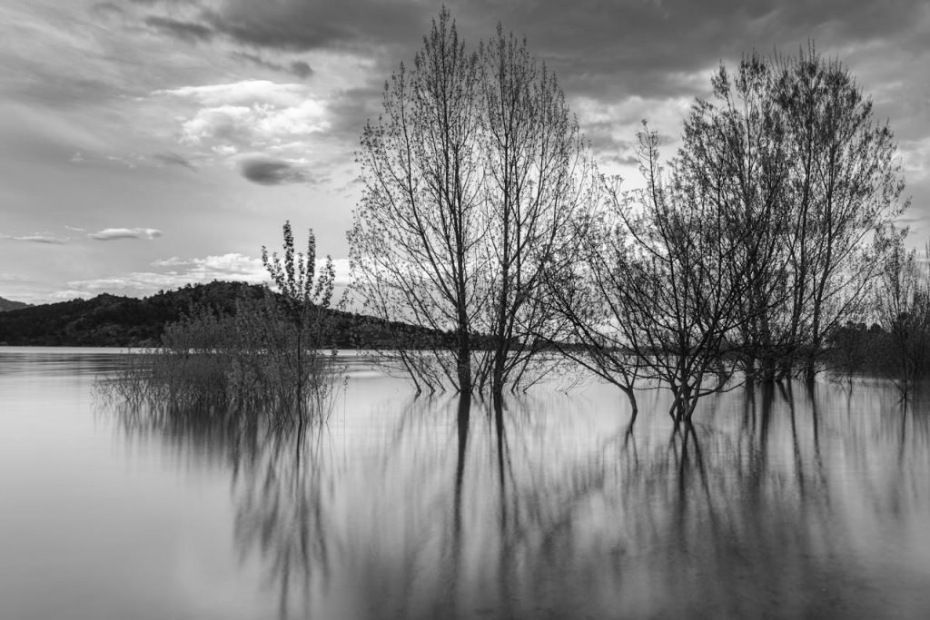 Aggiornamento Polizze Catastrofali
