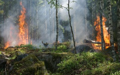 Utilizzo di acque reflue depurate per scopi antincendio in situazione di emergenza idrica