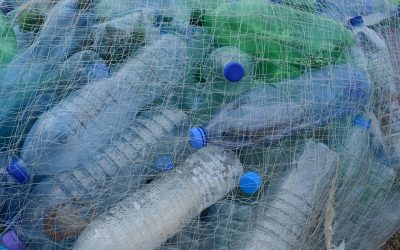 Rimodulazione del Contributo Ambientale CONAI per gli imballaggi in plastica