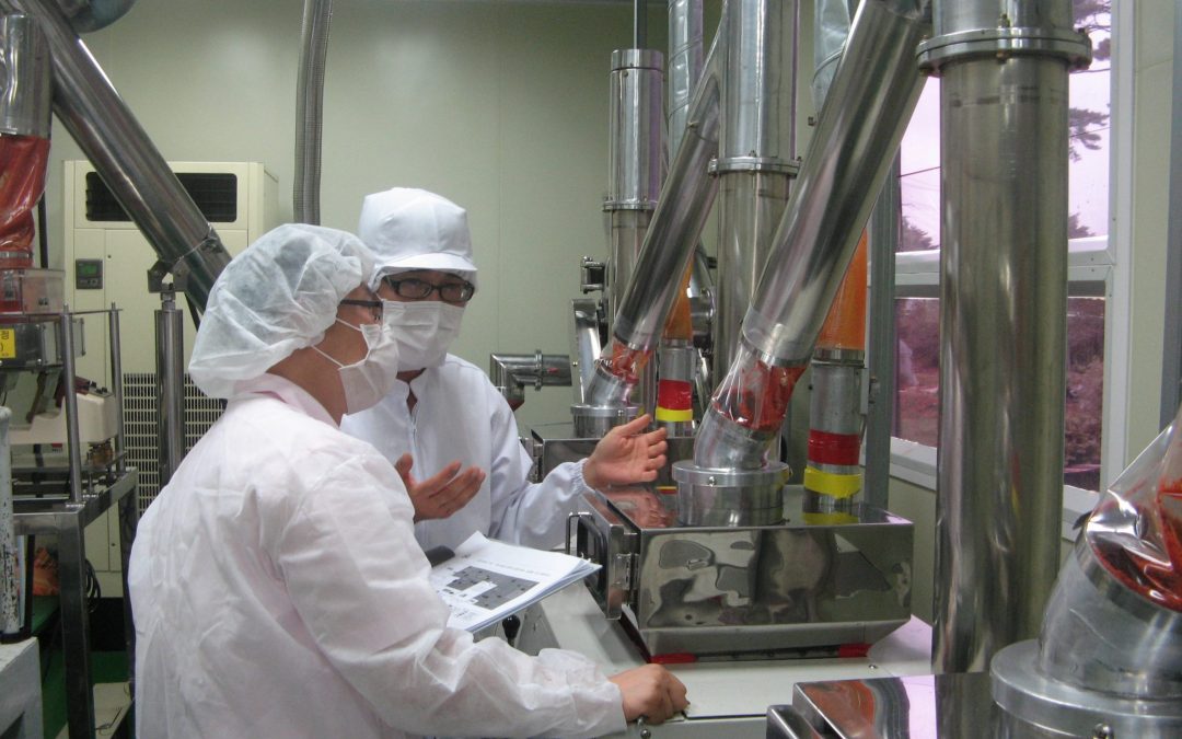 UE, nuovi orientamenti per applicare le regole sugli imballaggi: più chiarezza per imprese e Stati membri