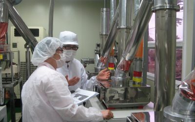 UE, nuovi orientamenti per applicare le regole sugli imballaggi: più chiarezza per imprese e Stati membri