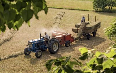 Caldo estremo: dall’INL nuove istruzioni per i controlli sulla tutela dei lavoratori