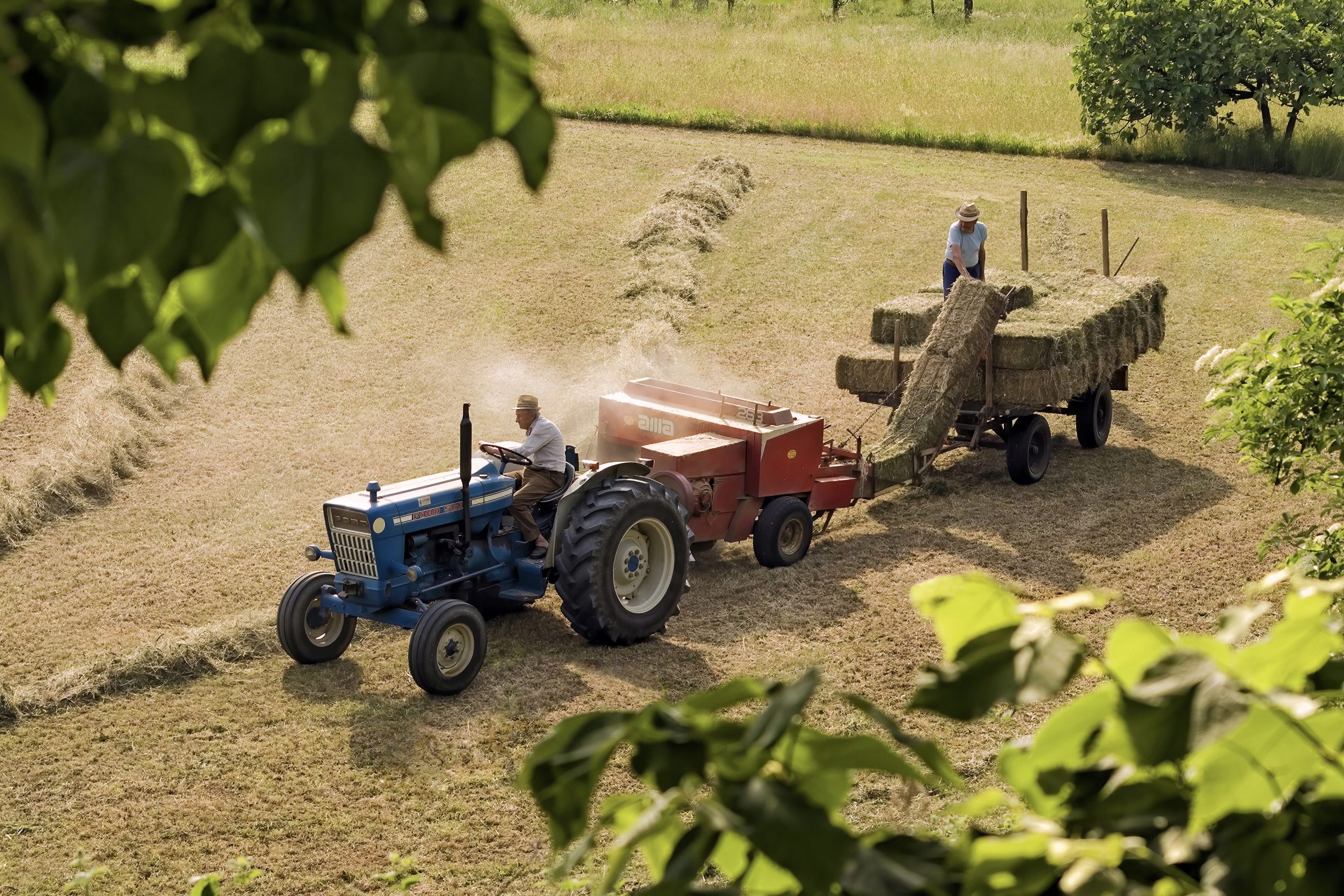 camera-man-agriculture-7612424