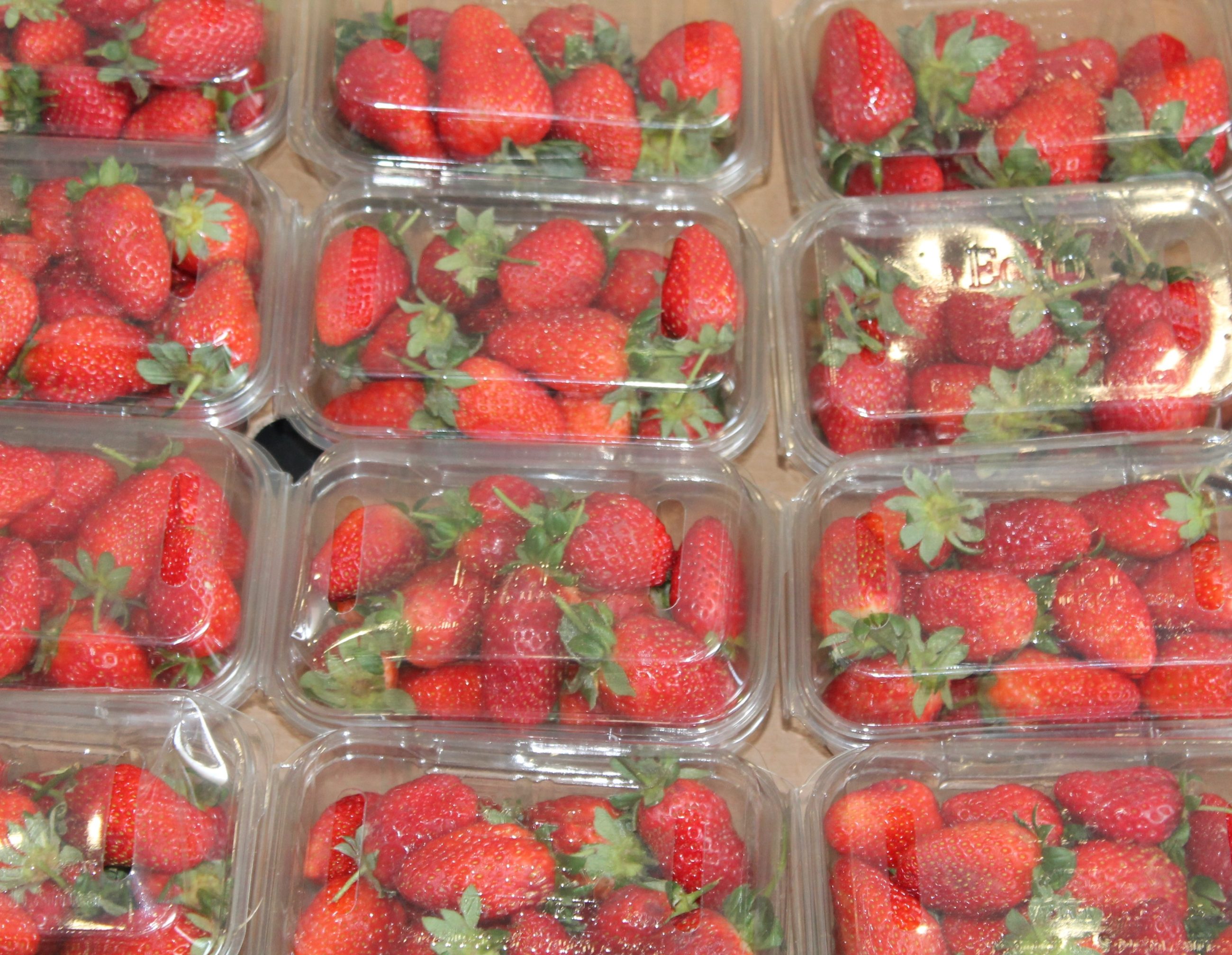 albanycolley-food-2725415