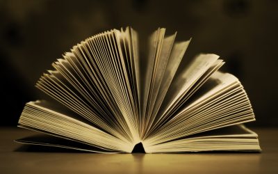 Direttiva imballaggi (PPWR) – Il Ministero dell’ambiente pubblica uno strumento di autovalutazione per imprese e operatori della filiera degli imballaggi